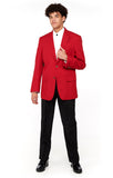 2011C - Men's Polyester Blazers